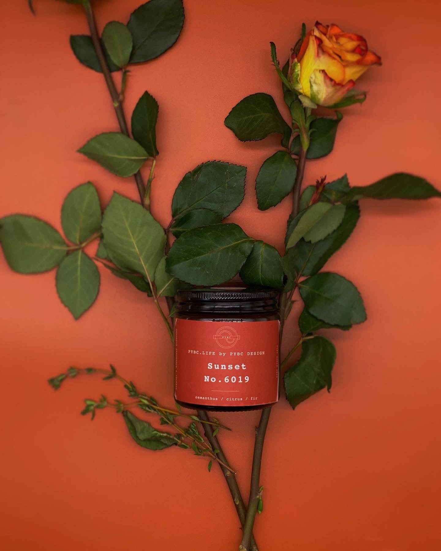 Sunset 6019 - Candle