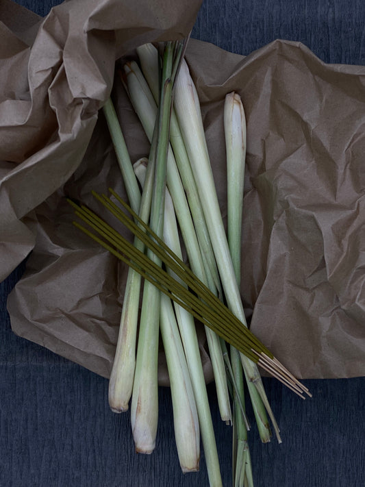 Sustainable Camping Incense Sticks - Lemongrass