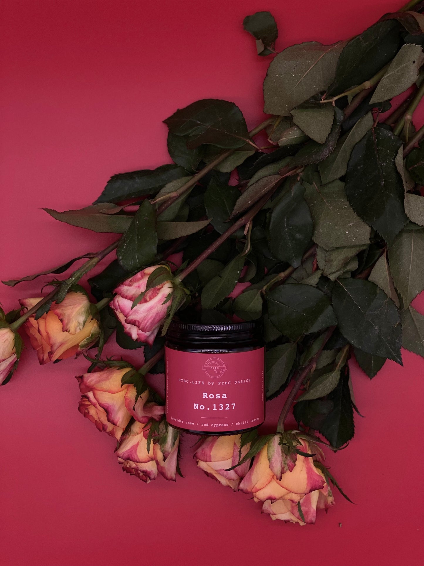Rosa 1327 - Candle