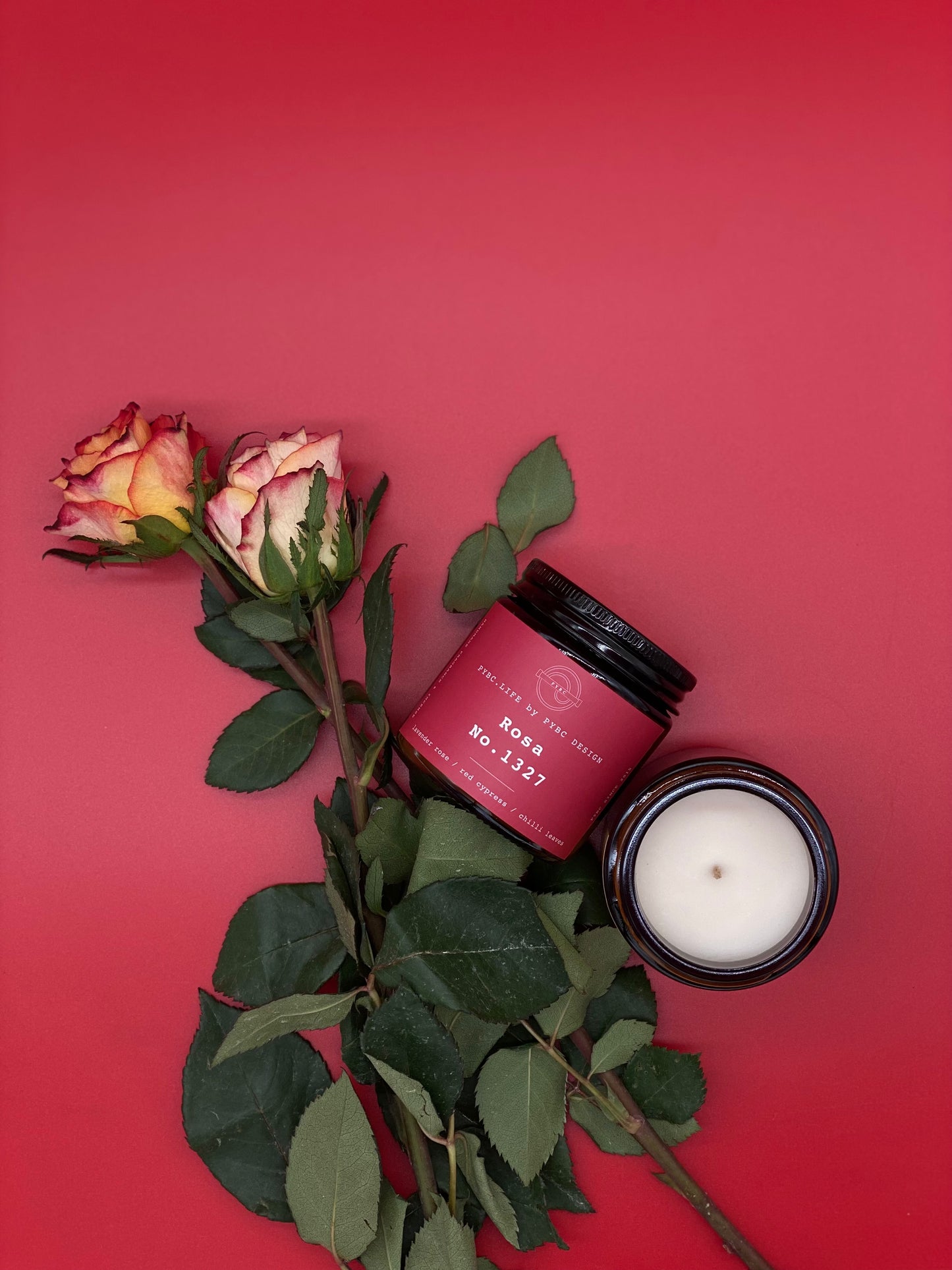 Rosa 1327 - Candle
